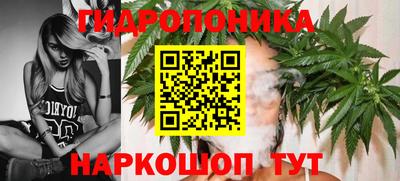 прущие грибы Севастополь