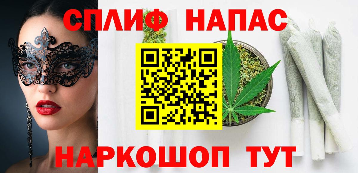 Шишки марихуана план Новоалександровск